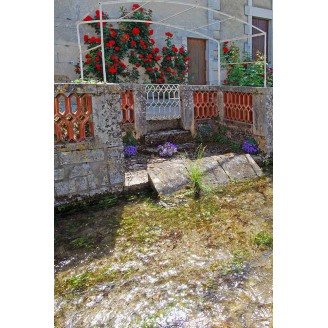 Photo 12 - Arche des roses